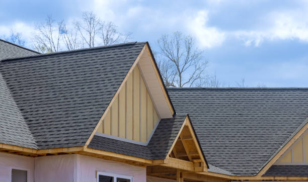 Best Roof Maintenance and Cleaning  in Davisboro, GA
