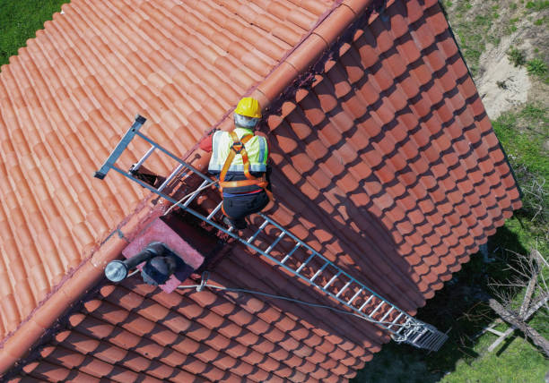 Best Gutter Installation and Repair  in Davisboro, GA