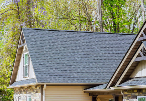 Best Rubber Roofing (EPDM, TPO)  in Davisboro, GA