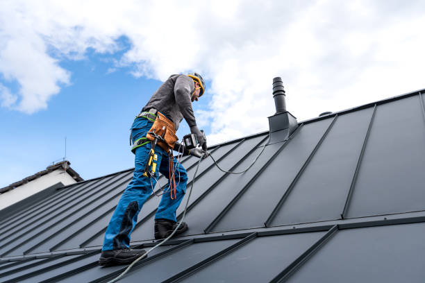 Best Roof Moss and Algae Removal  in Davisboro, GA